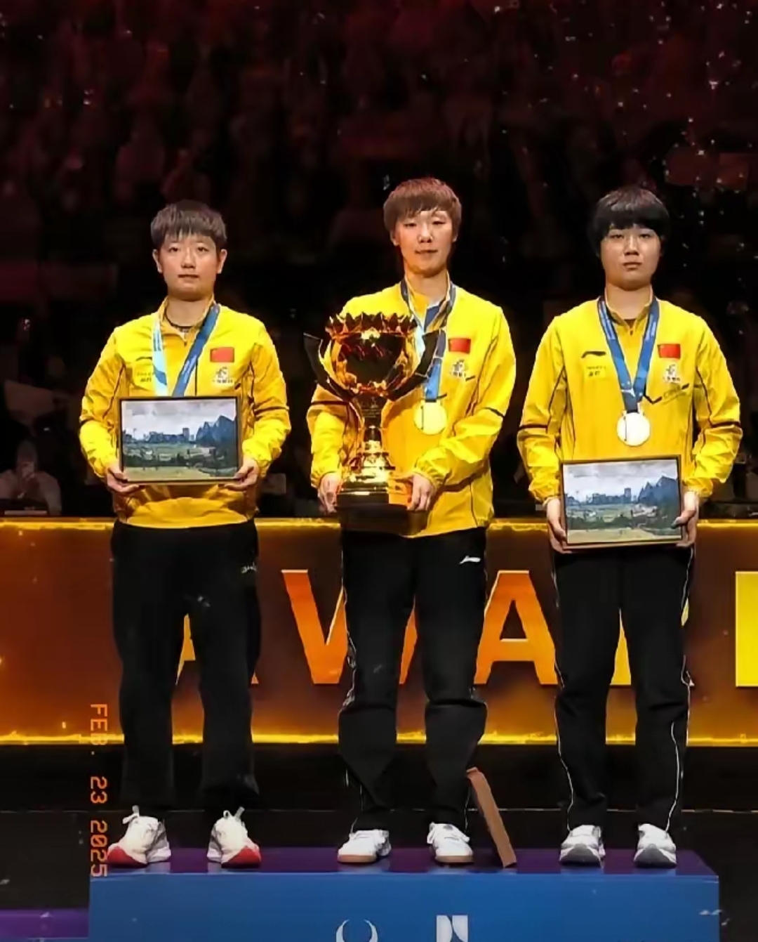 包含亚洲杯选手发挥出色，荣膺最佳MVP的词条