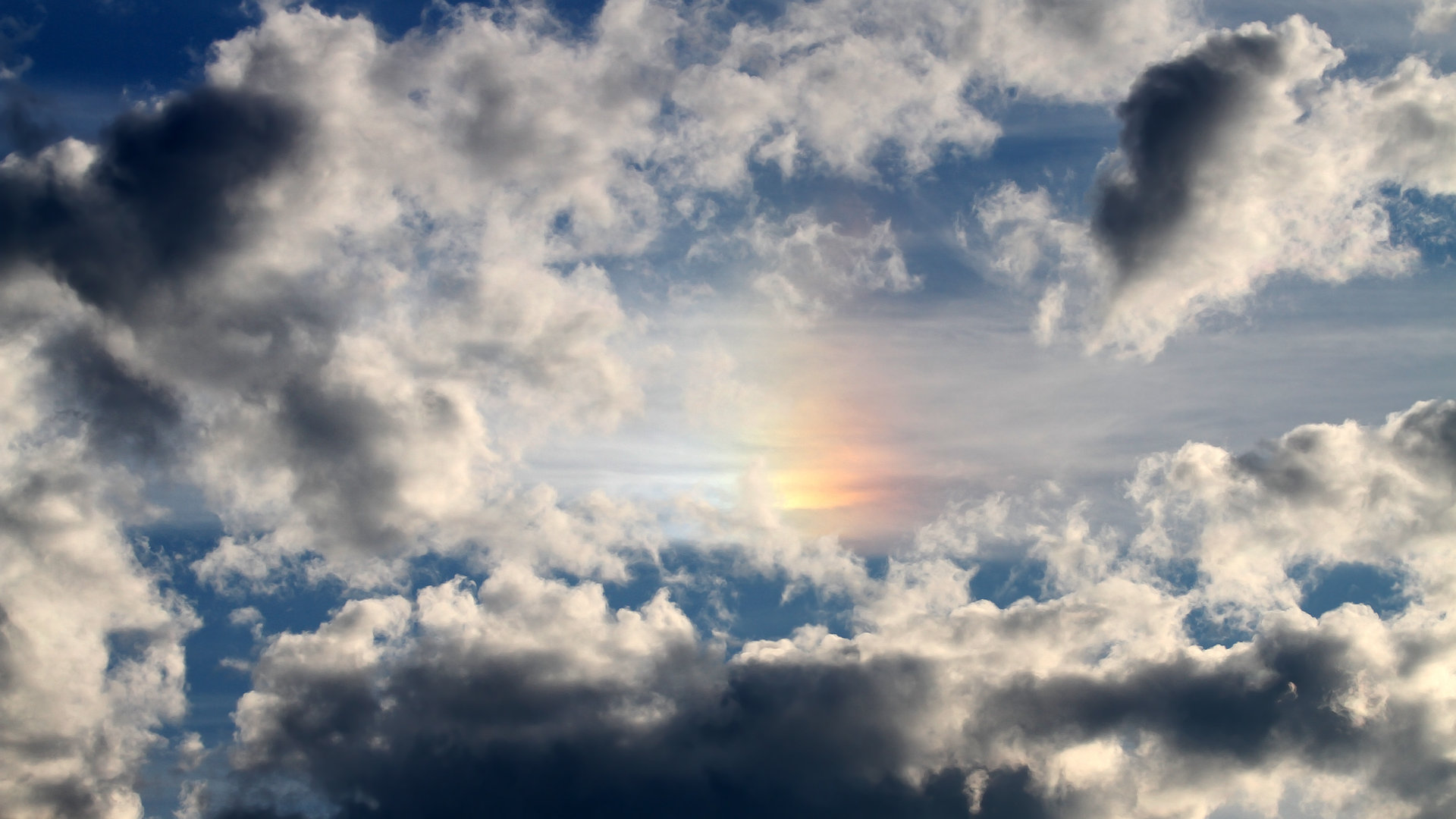 幽灵刺客出鞘！布克末节19分撕裂国王，活塞稳稳收下关键卡位战