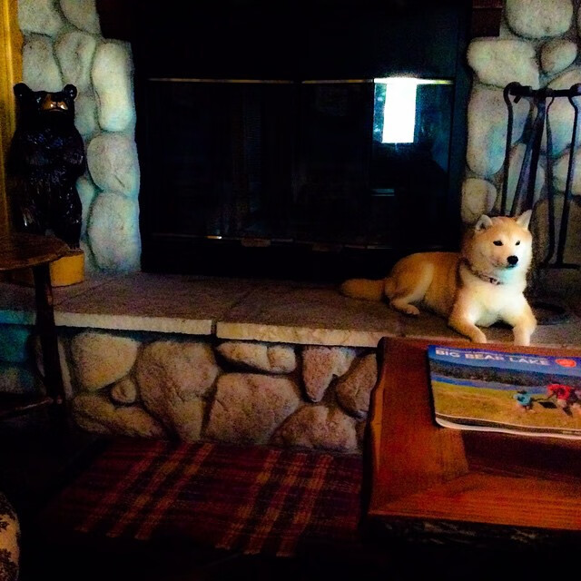 平行宇宙的足球之夜，当厄瓜多尔淘汰德国，拉什福德成为关键先生