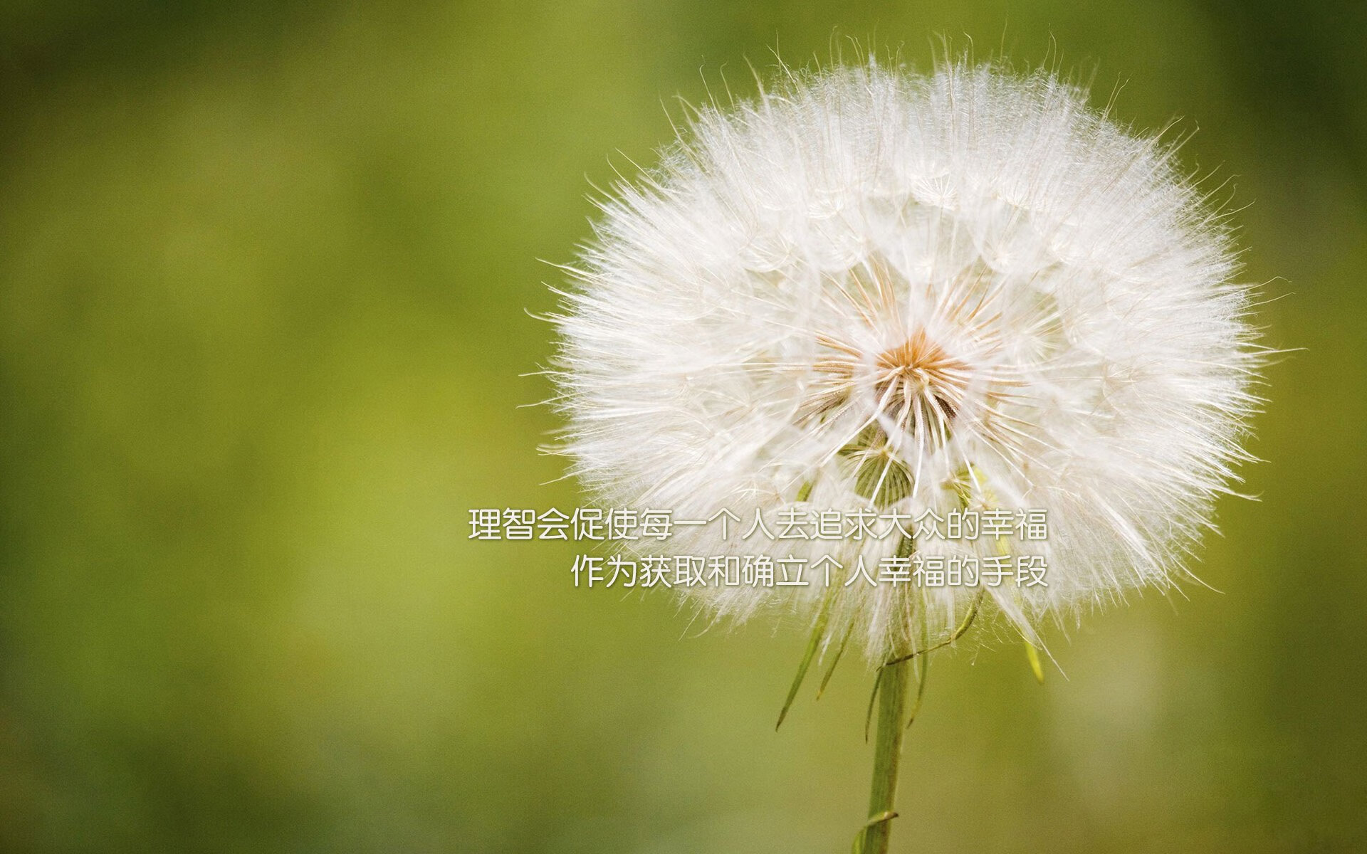 迟暮战神拔剑，当克莱·汤普森以守护者之名归来