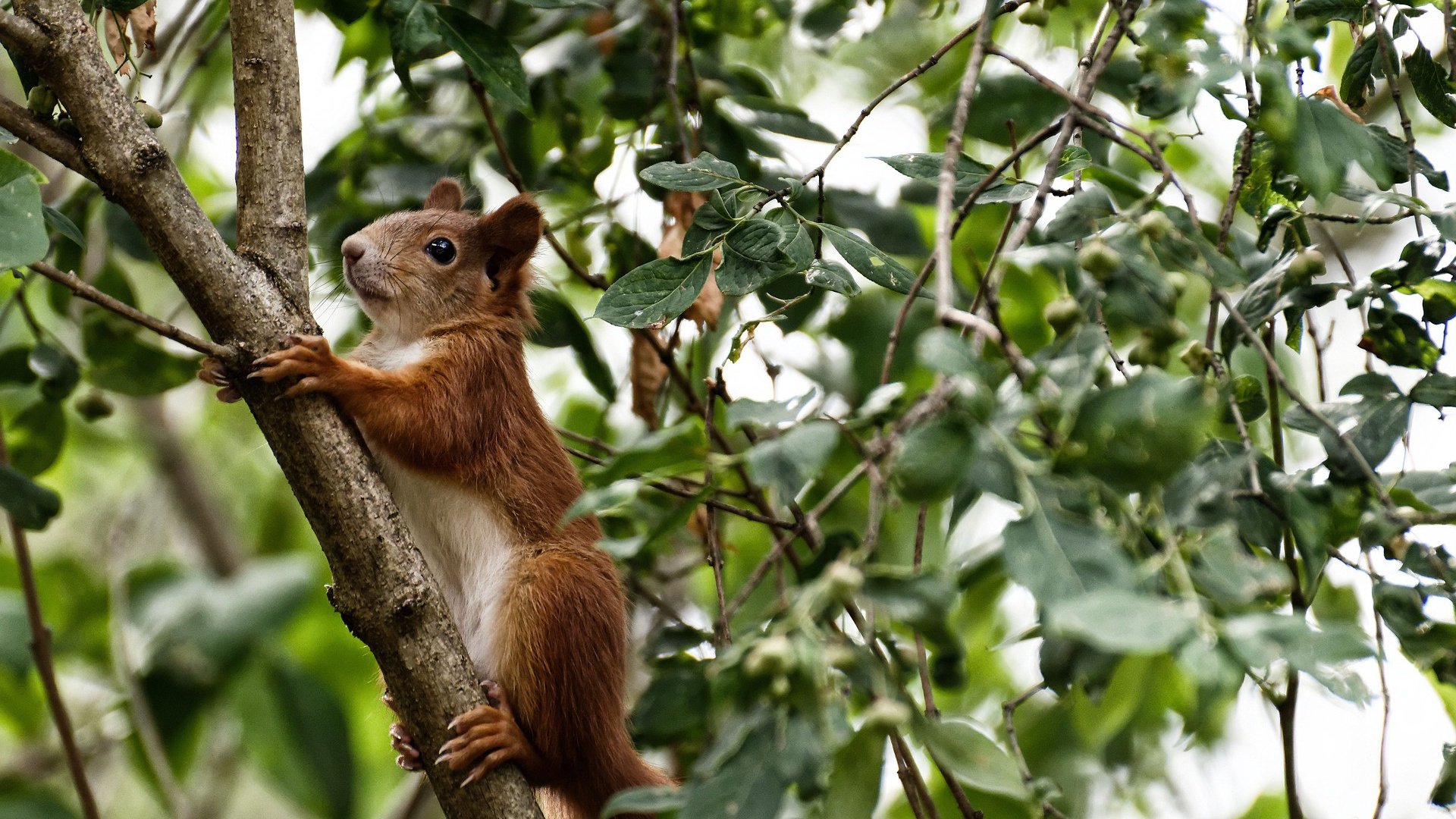 生死战与冠军心，葡萄牙力克尤文的史诗之战与姆巴佩定义伟大的闪耀时刻