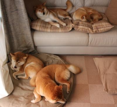 一秒跨越两万里,当雷霆之威遇上天山风暴,浓眉定乾坤的唯一性瞬间