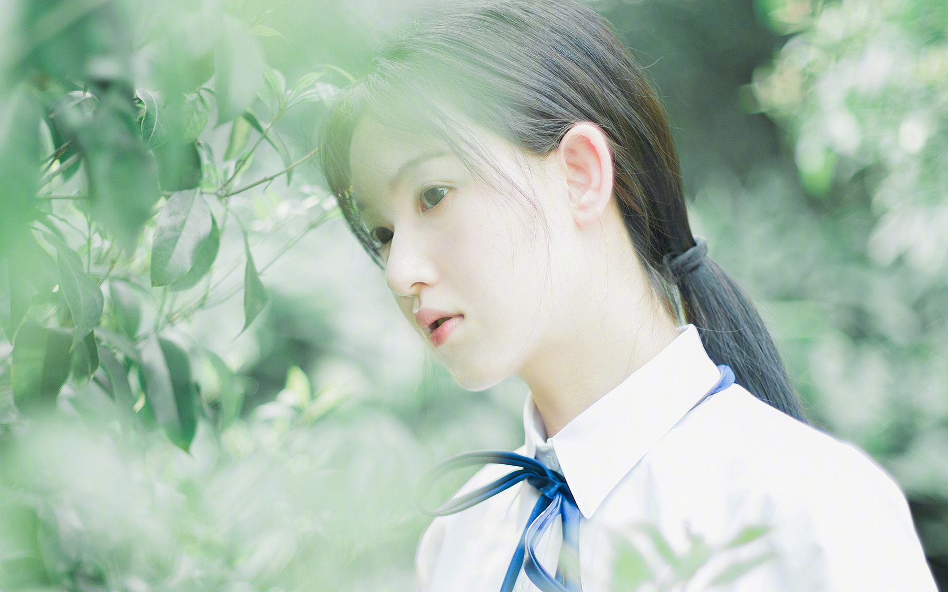 东方智慧VS北美锋刃,当快船战术遇上广东体系