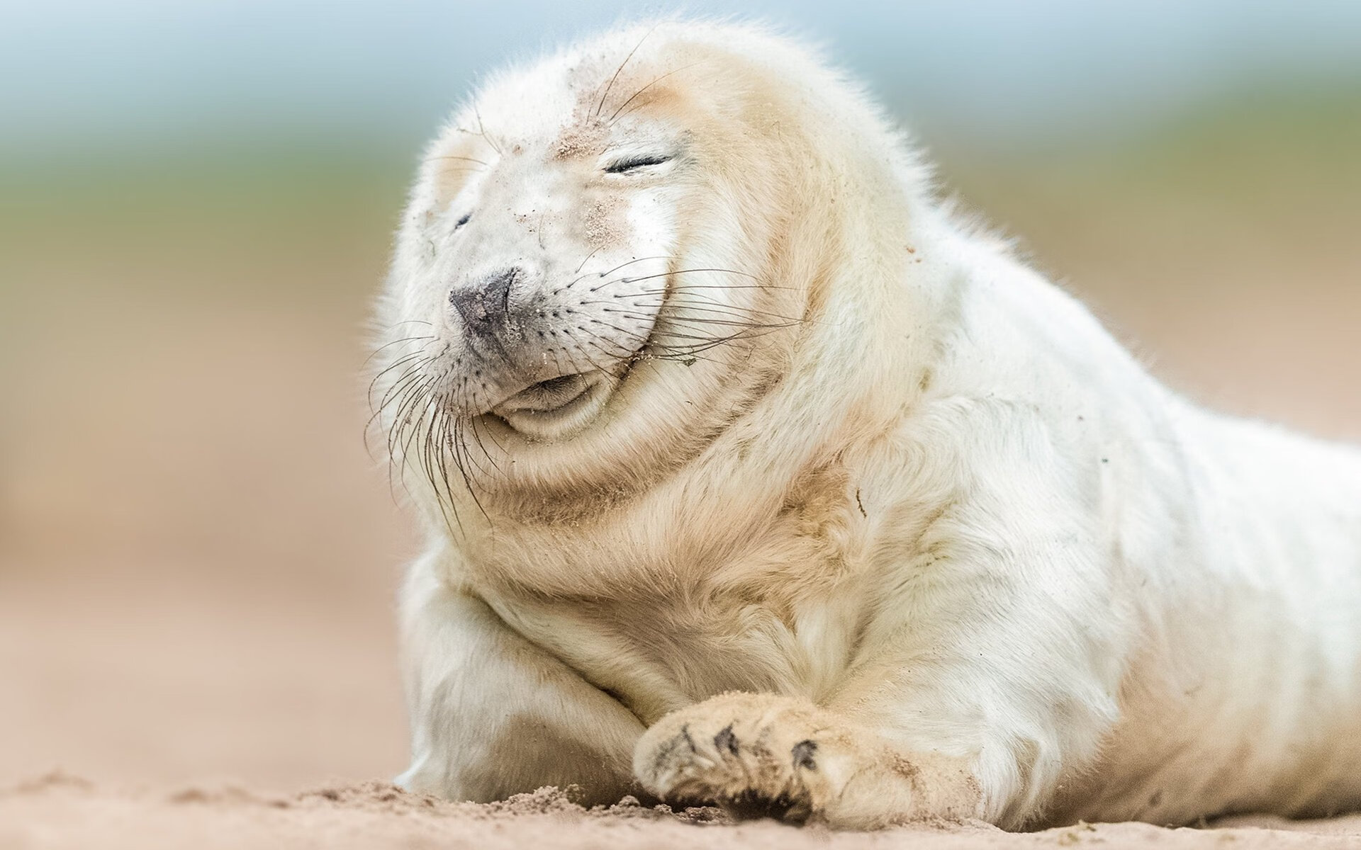 英超争冠之夜,若日尼奥在枪手的中场复兴史诗