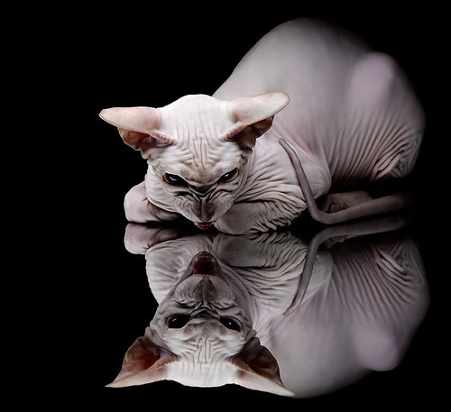 暗夜骑士的火焰，孔德终场绝响，马赛铁蹄踏碎洪都拉斯防线