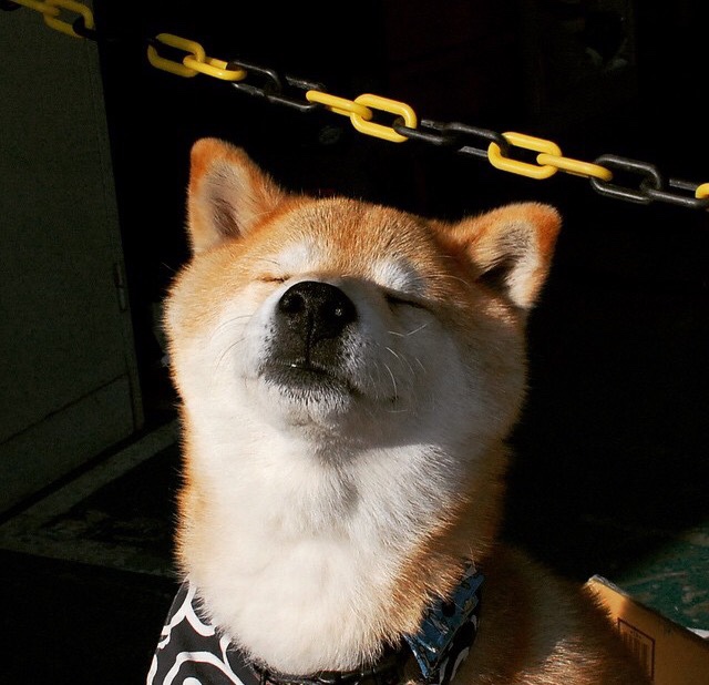 选项(可任选其一)