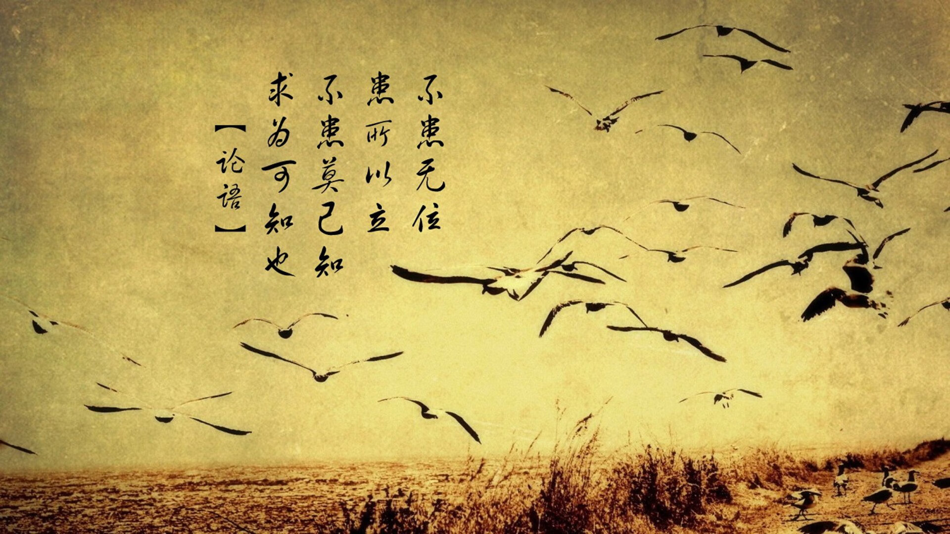 篮球场上的外交风云，当巴黎决胜局带走玻利维亚高地