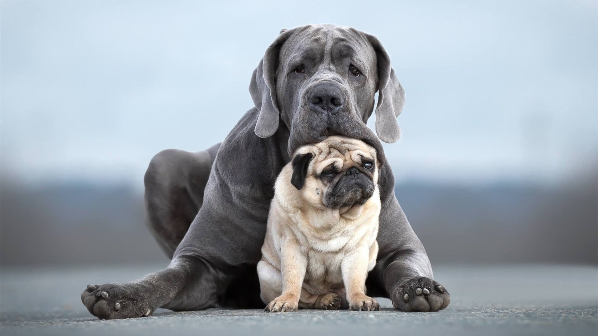 地球两端的篮球星河,当热火遭遇浙江队,塔图姆如何成为全场唯一焦点