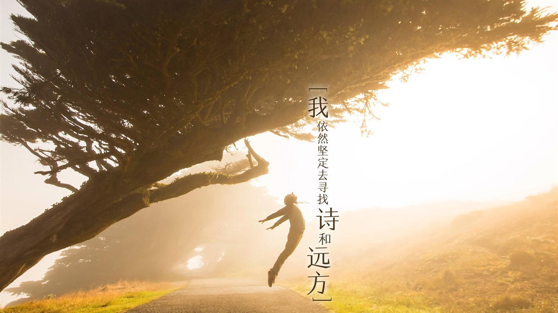 胜利之外的胜利，武切维奇输球教科书为何更值得反复研读？