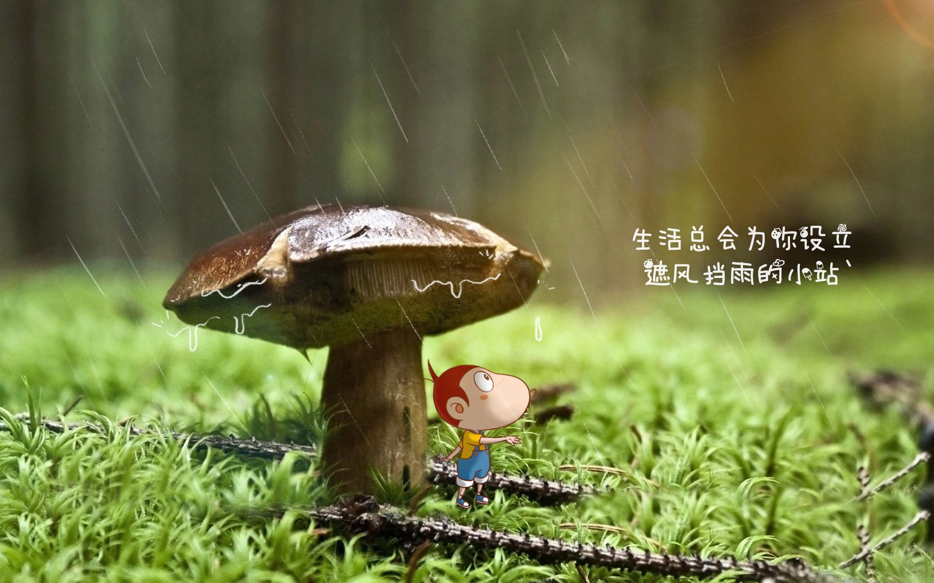 以下是根据您的要求创作的标题与文章